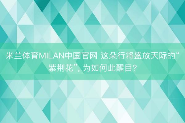 米兰体育MILAN中国官网 这朵行将盛放天际的“紫荆花”， 为如何此醒目?