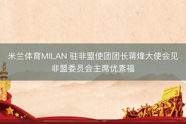 米兰体育MILAN 驻非盟使团团长蒋烽大使会见非盟委员会主席优素福
