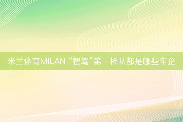 米兰体育MILAN “智驾”第一梯队都是哪些车企