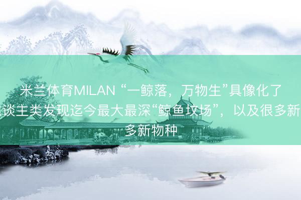 米兰体育MILAN “一鲸落，万物生”具像化了：东谈主类发现迄今最大最深“鲸鱼坟场”，以及很多新物种
