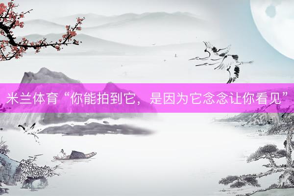 米兰体育 “你能拍到它,是因为它念念让你看见”